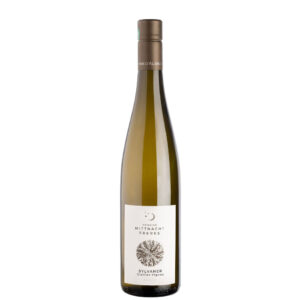 Vieilles Vignes de Sylvaner 2025 - Domaine Mittnacht Frères